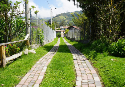 Sendero de los Arayanes 